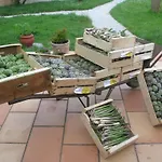 La Frejade