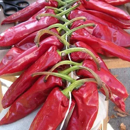 La Frejade Bed & Breakfast 4*